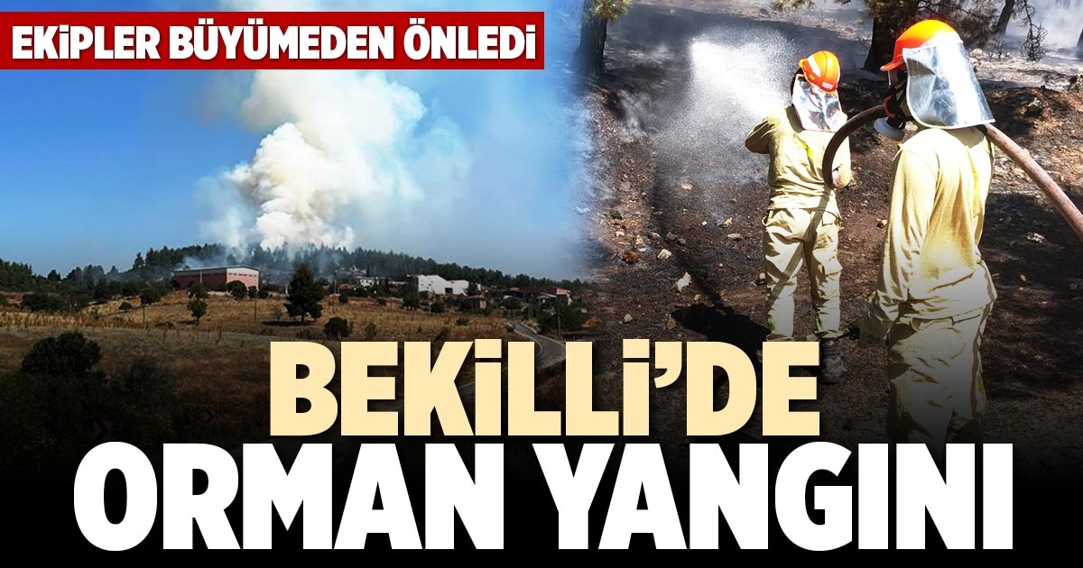 BEKİLLİ’DE ORMAN YANGINI