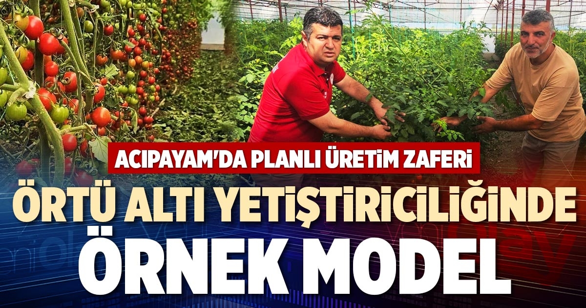 ÖRTÜ ALTI YETİŞTİRİCİLİĞİNDE ÖRNEK MODEL