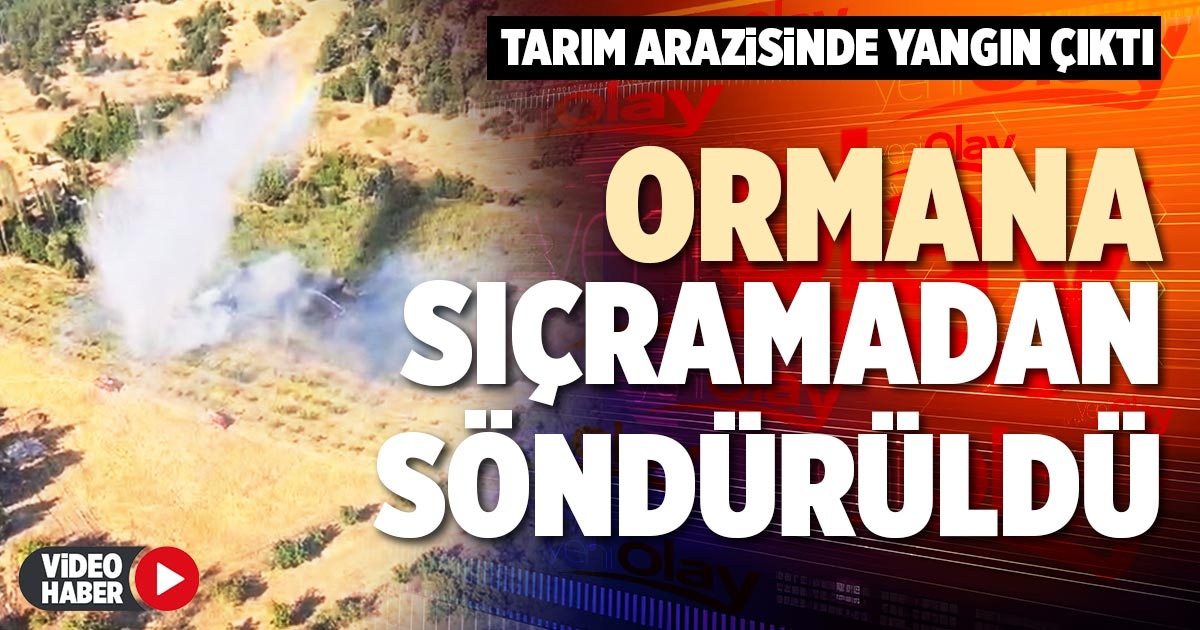 ORMANA SIÇRAMADAN SÖNDÜRÜLDÜ