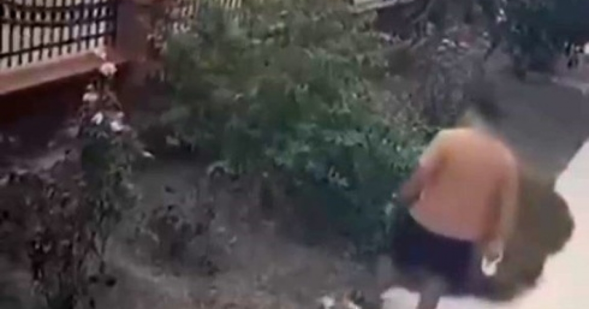 İZMİR’DE YAVRULU KEDİYE TEKME ATAN SALDIRGAN YAKALANDI