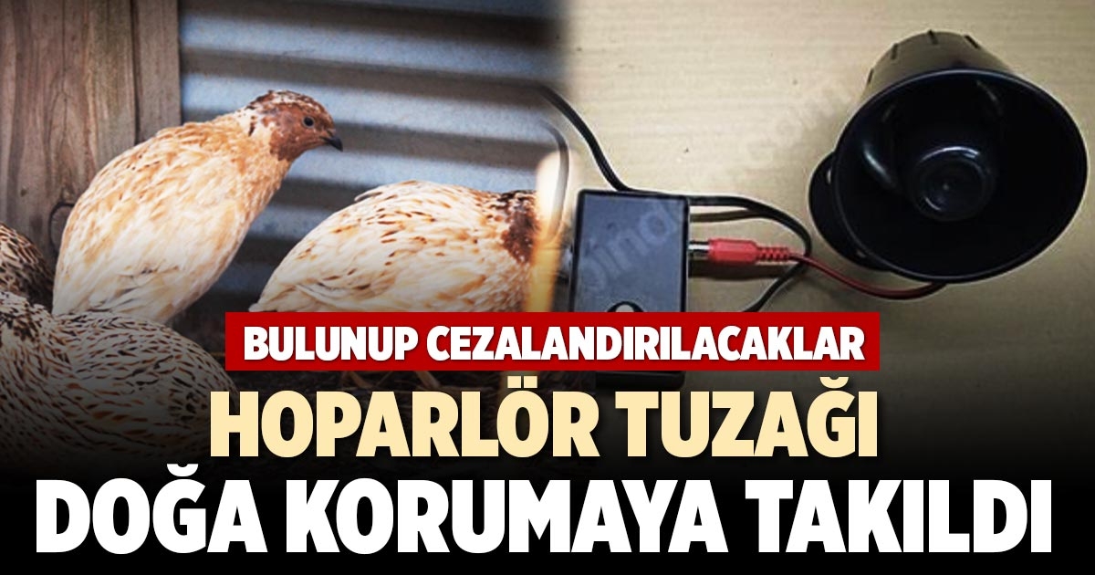 HOPARLÖR TUZAĞI  DOĞA KORUMAYA TAKILDI