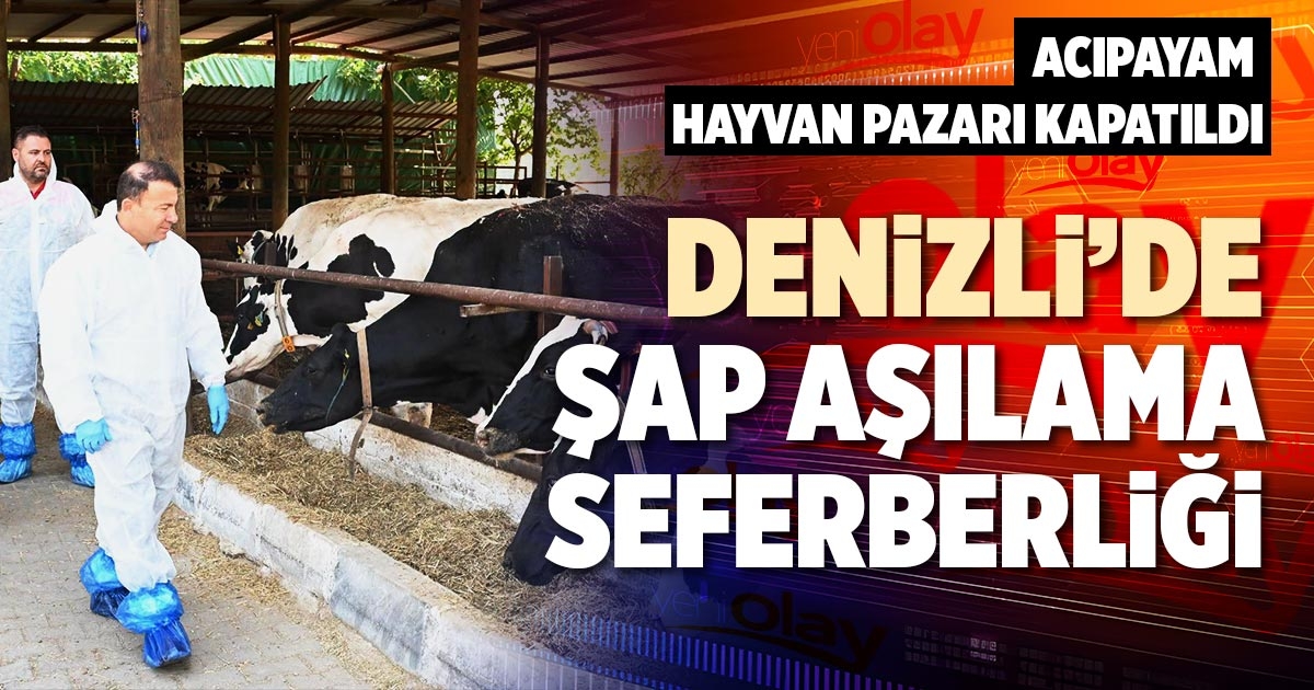 DENİZLİ’DE ŞAP AŞILAMA SEFERBERLİĞİ