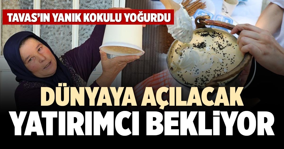 DÜNYAYA AÇILACAK YATIRIMCI BEKLİYOR