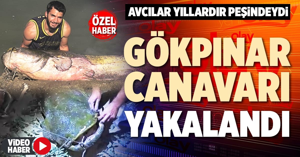 GÖKPINAR CANAVARI YAKALANDI