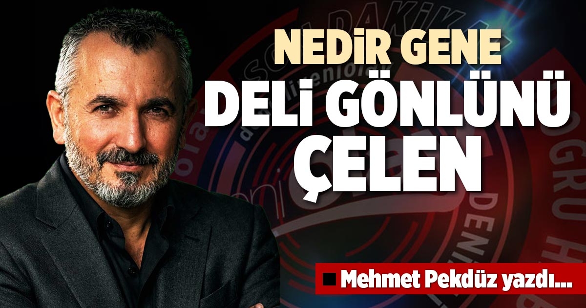 NEDİR GENE DELİ GÖNLÜNÜ ÇELEN