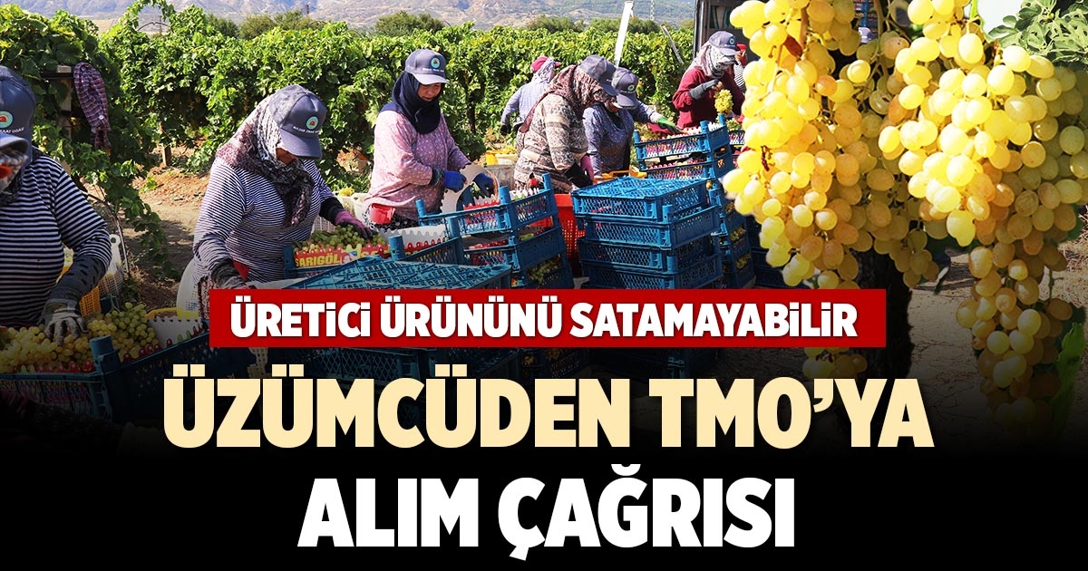 ÜZÜMCÜDEN TMO’YA  ALIM ÇAĞRISI