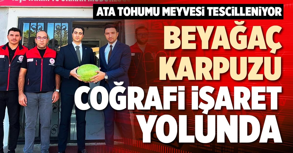 ATA TOHUMU MEYVESİ TESCİLLENİYOR