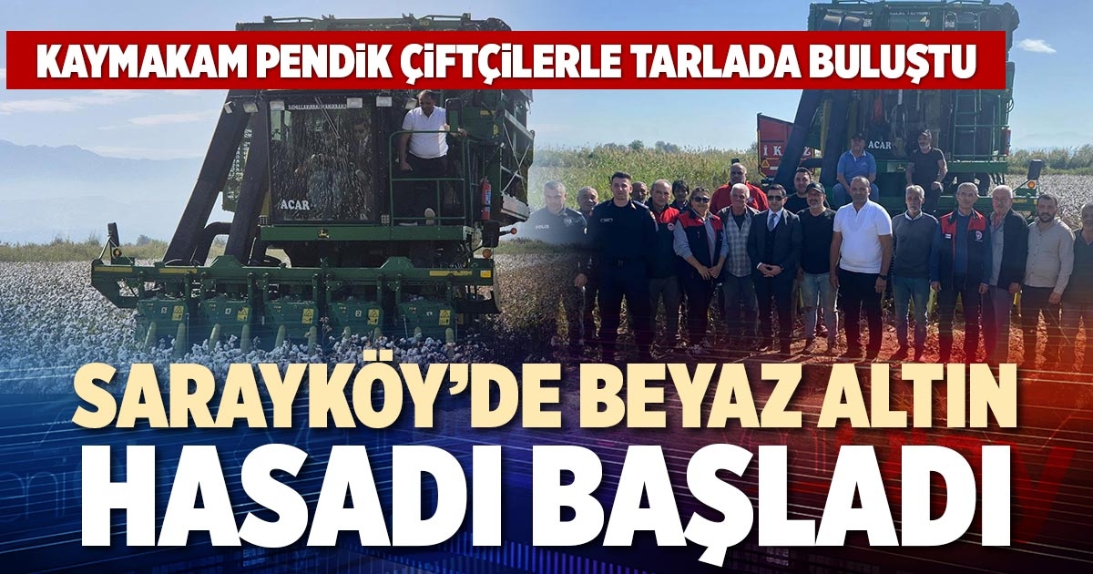 SARAYKÖY’DE BEYAZ ALTIN HASADI BAŞLADI