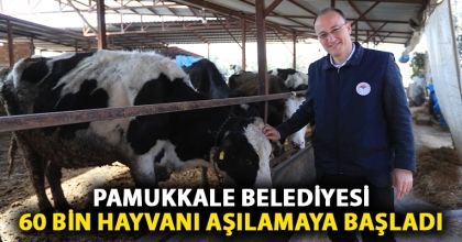 PAMUKKALE BELEDİYESİ 60 BİN HAYVANI AŞILAMAYA BAŞLADI