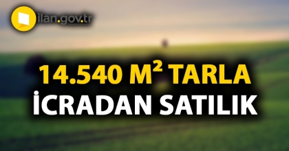 Mersin Mut'ta 14.540 m² tarla icradan satılıktır