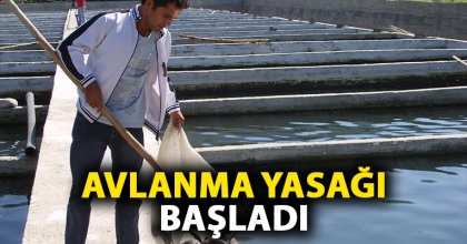 AVLANMA YASAĞI BAŞLADI