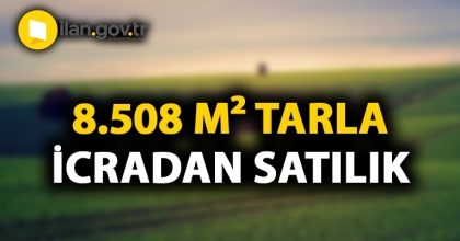 Ankara Bala'da 8.508 m² tarla icradan satılıktır