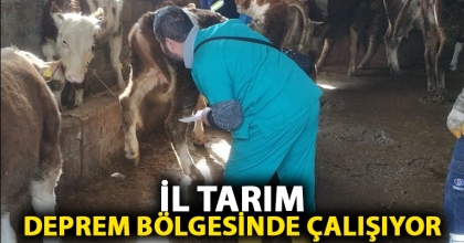 İL TARIM DEPREM BÖLGESİNDE ÇALIŞIYOR