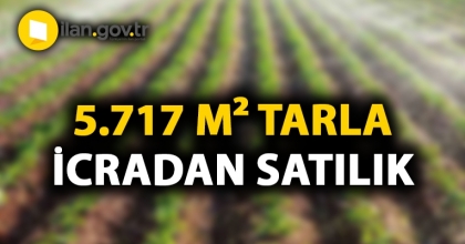 Kırklareli Babaeski'de 5.717 m² tarla icradan satılıktır