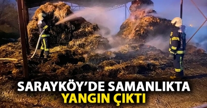 SARAYKÖY’DE SAMANLIKTA YANGIN ÇIKTI