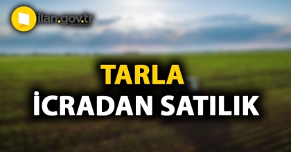 Muğla Ula'da tarla icradan satılıktır