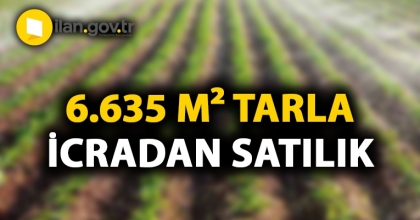 Antalya Elmalı'da 6.635 m² tarla icradan satılıktır