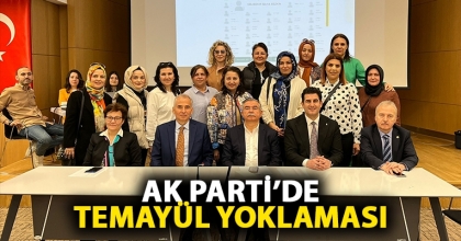 AK PARTİ’DE TEMAYÜL YOKLAMASI