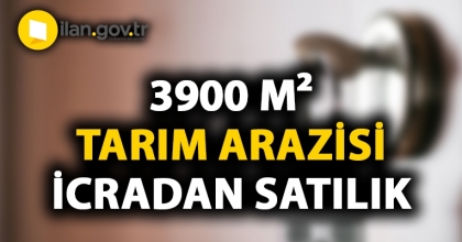 Sakarya Pamukova'da 3900 m² tarım arazisi icradan satılacak