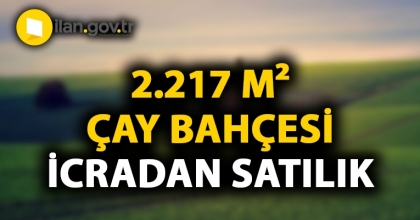 Rize Ardeşen ilçesinde 2.217 m² çay bahçesi icradan satılıktır