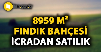 Sakarya Hendek'te 8959 m² fındık bahçesi icradan satılacak