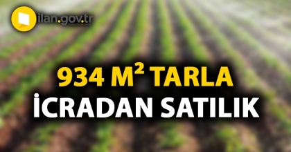 Sakarya Karapürçek Mahallesi'nde 934 m² tarla icradan satılacak