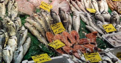 Av yasağı öncesi balık azaldı, Ramazan ayında satışlar düştü  