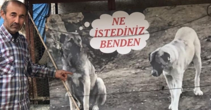 Sahiplendiği köpeği zehirlenen adamdan sitem dolu afiş