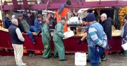 Gırgır teknelerinde “balık boyu” denetimi  