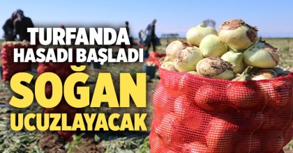Soğan ucuzlayacak