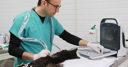 Bayraklı’daki can dostlara özel klinik