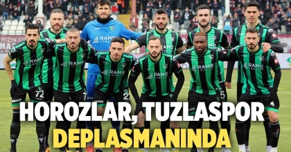 Horozlar, Tuzlaspor Deplasmanında Puan Arayacak