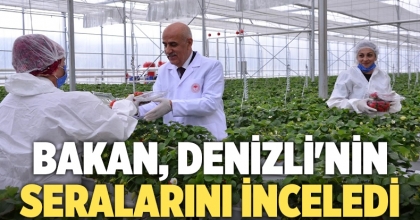 Bakan Kirişci, Denizli'nin seralarını inceledi 