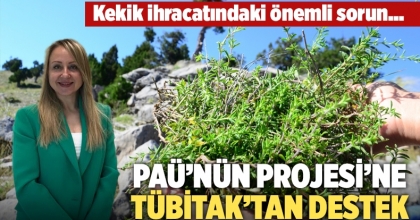 PAÜ’nün Projesi’ne TÜBİTAK’tan Destek