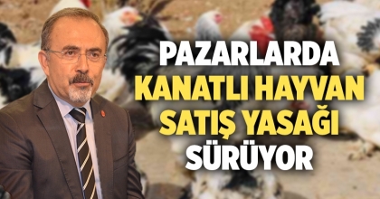 PAZARLARDA KANATLI HAYVAN SATIŞ YASAĞI SÜRÜYOR