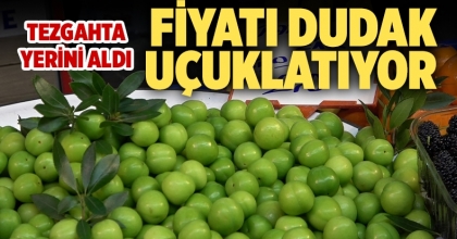 Erik fiyatları dudak uçuklatıyor