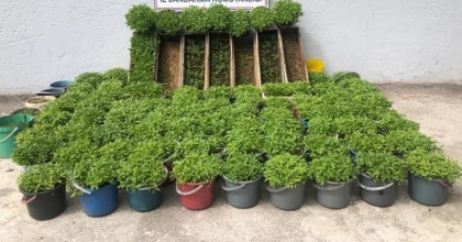 Urla polisi uyuşturucu tacirlerine geçit vermiyor