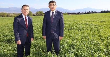 Belediyenin buğdayları ihtiyaç sahiplerine un olacak