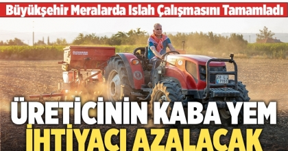 Üreticinin Kaba Yem İhtiyacı Azalacak