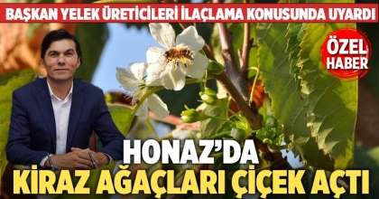 Honaz’da Kiraz Ağaçları Çiçek Açtı