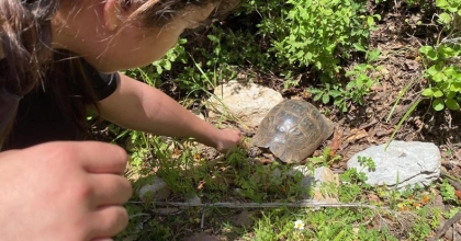 Datça’da orman yangınlarına farkındalık için yürüdüler