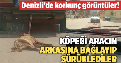 Korkunç görüntüler! Köpeği aracın arkasına bağlayıp sürüklediler