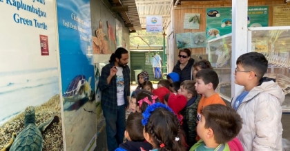  Kaplumbağa Muhafızları iş başında