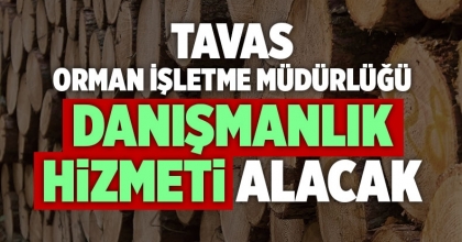 TAVAS ORMAN İŞLETME MÜDÜRLÜĞÜ DANIŞMANLIK HİZMETİ ALACAK