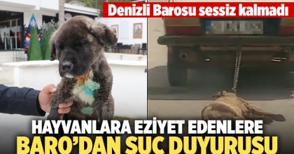 Hayvanlara eziyet edenlere Denizli Barosu’ndan suç duyurusu