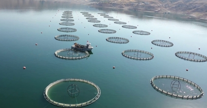 Su ürünleri ihracatından 1,7 milyar dolar gelir elde edildi  