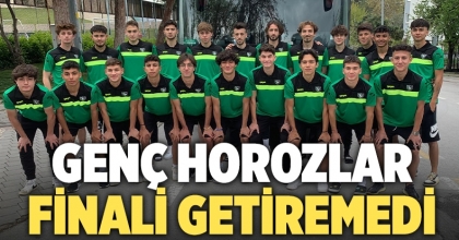 Genç Horozlar Finali Getiremedi
