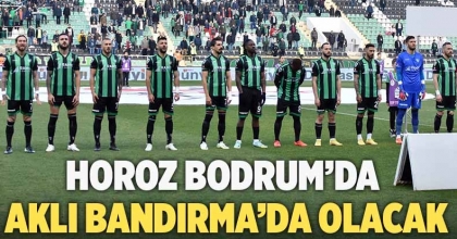 Horoz Bodrum’da, Aklı Bandırma’da olacak