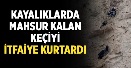 Denizli'de Sarp Kayalıkta Mahsur Kalan Keçi Kurtarıldı