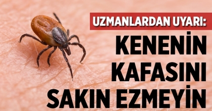Havaların Isınmasıyla Artan Kene Isırıklarına Karşı Uzmanlardan Uyarı